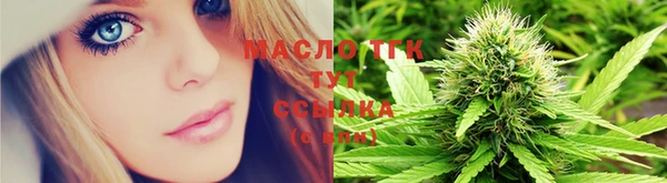 твердый Богородицк